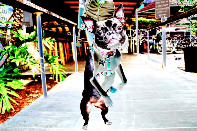 Miami Street Photographer