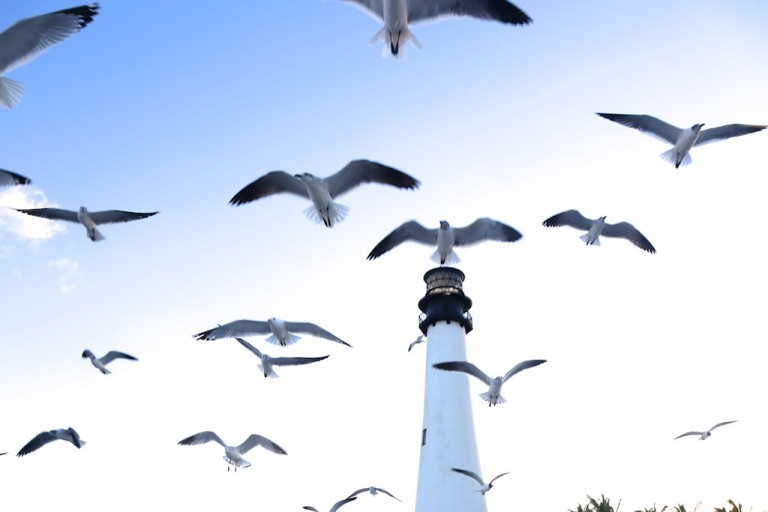 Bill Baggs State Park - Street Photography